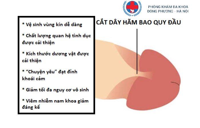 cat-day-ham-bao-quy-dau-03